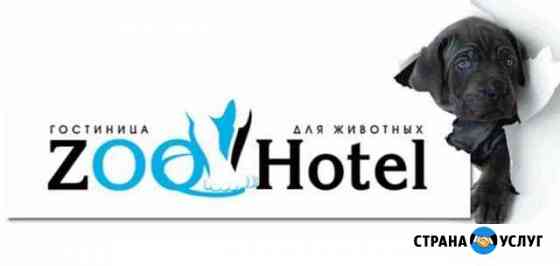 Гостиница для собак мелких пород и кошек Нижний Новгород