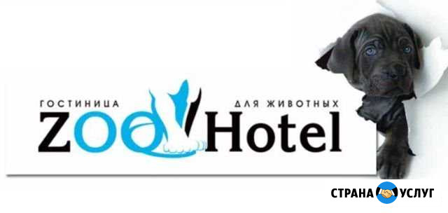 Гостиница для собак мелких пород и кошек Нижний Новгород - изображение 1