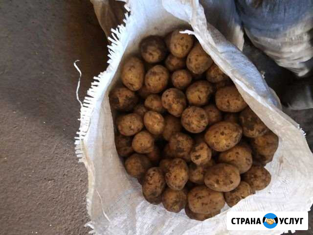 Продукты питания Арзамас - изображение 1
