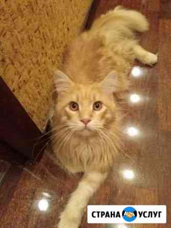 Вязка Нижний Новгород