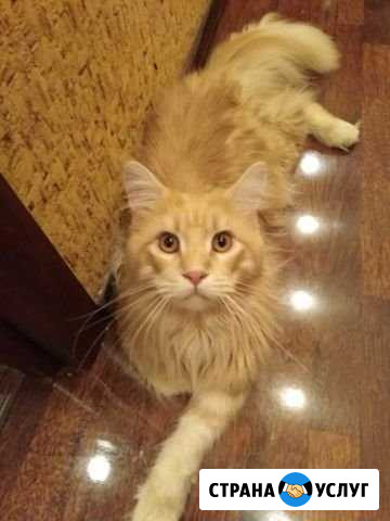 Вязка Нижний Новгород - изображение 1