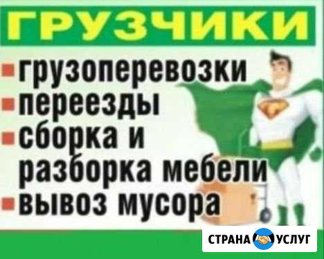 Грузоперевозки - переезды - грузчики - вывоз мусор Махачкала - изображение 1