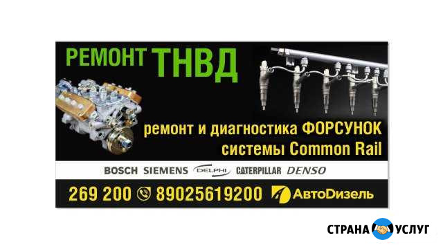 Ремонт тнвд отечественного и импортного производст Братск - изображение 1