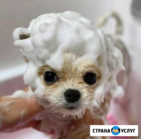С Симферополь - изображение 1