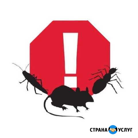 Уничтожение тараканов, клопов, клещей и грызунов Пермь - изображение 1