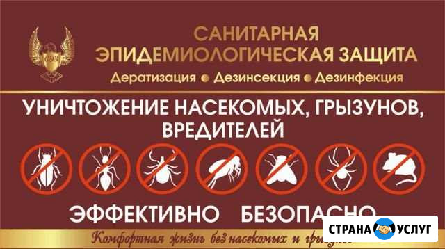 Тараканы, клопы, крысы, клещи Тула - изображение 1
