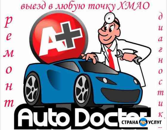Автоэлектрики с выездом Сургут