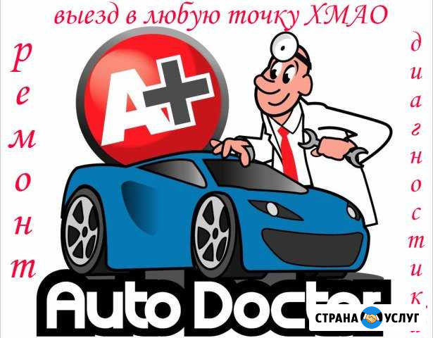 Автоэлектрики с выездом Сургут - изображение 1