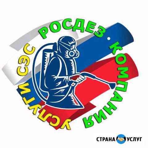 Уничтожение тараканов, клопов, крыс Новокузнецк