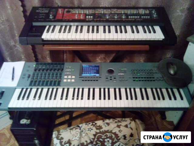 Аранжировщик Ростов-на-Дону - изображение 1