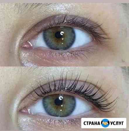 Ламинирование Botox ресниц и бровей Люберцы