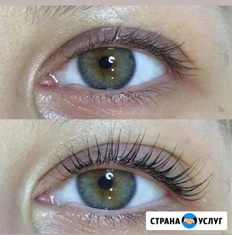 Ламинирование Botox ресниц и бровей Люберцы - изображение 1