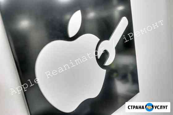Ремонт iPhone Ростов-на-Дону
