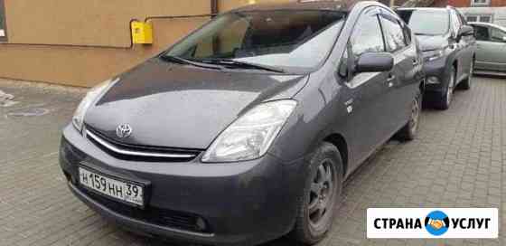 Аренда с выкупом Prius Калининград