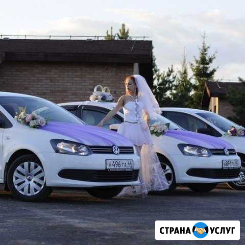Свадебный кортеж Volkswagen Polo, микроавтобусы Кострома - изображение 1