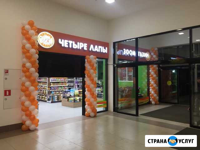 Фигуры Гелиевые шары Ковров - изображение 1