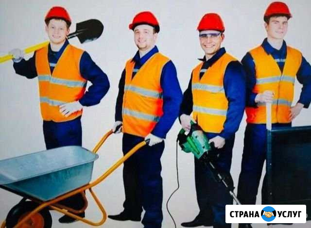 Разнорабочие Дружба - изображение 1