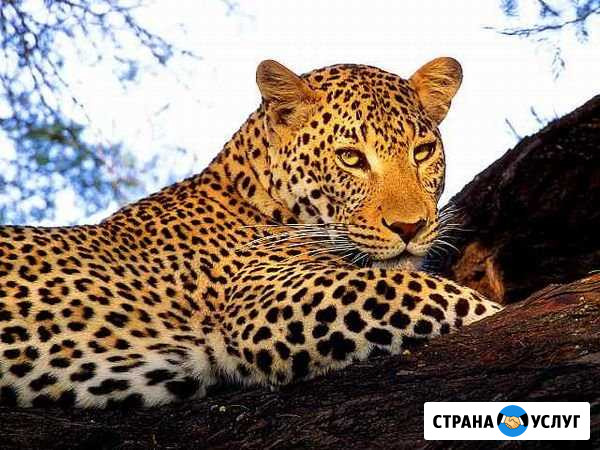 Грузчики выполнят любые виды работ:перезды квартир Иваново - изображение 1