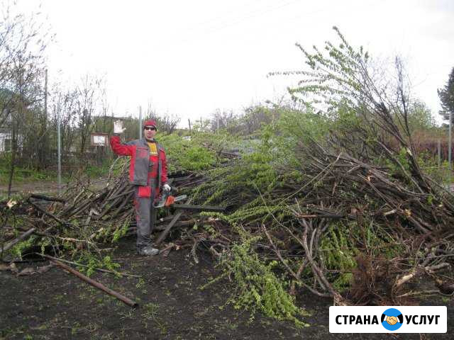 Расчистка участков,спил деревьев, вывоз Темрюк - изображение 1