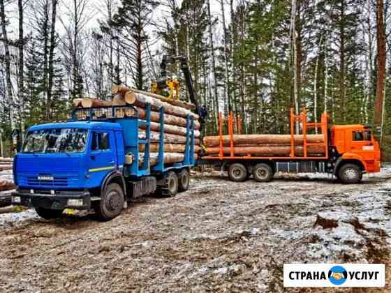 Услуги лесовоза Красноярск