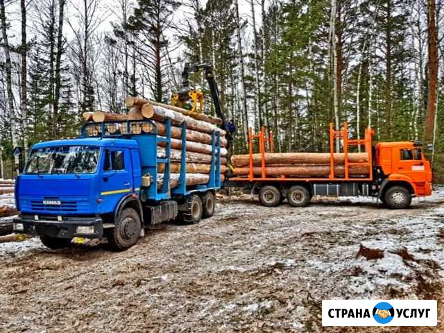 Услуги лесовоза Красноярск - изображение 1