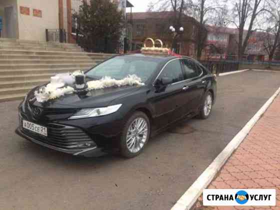 Обслуживания свадеб и торжеств на Тоета Камри 2019 Чебоксары