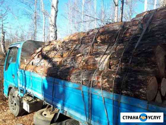 Дрова сухие листвяные Чита