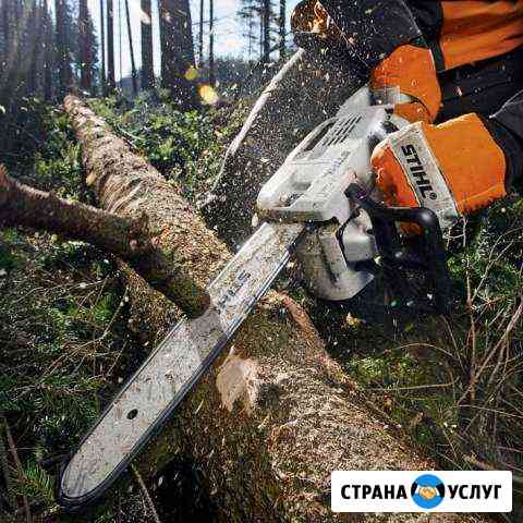 Спил деревьев Шахты