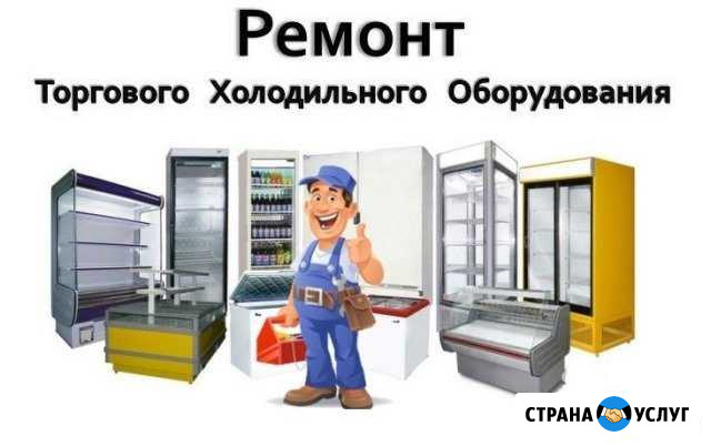 Услуги по ремонту технол. и холод, оборудования Псков - изображение 1