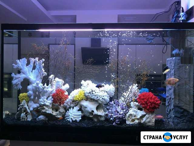 Обслуживание и запуск аквариумов Серпухов - изображение 1