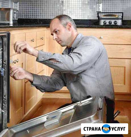 Ремонт посудомоечных машин Воронеж - изображение 1