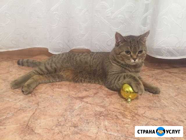 Вязка Ижевск - изображение 1