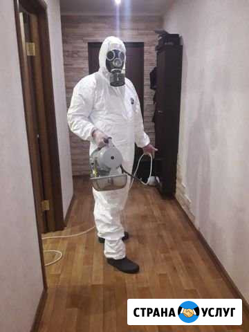 Санобработка, дезинфекция, уничтожение всех насико Тольятти - изображение 1