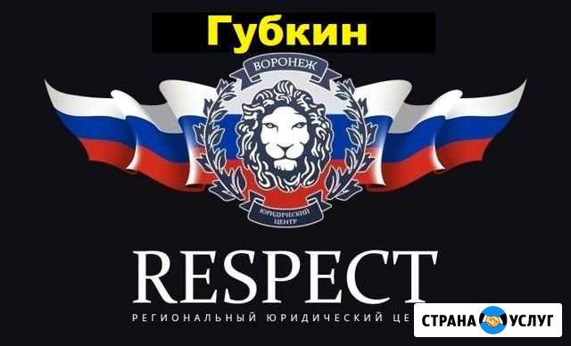 Оформление и регистрация гбо, реф, двс в гибдд Губкин - изображение 1