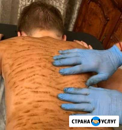 Пропитка тела виватоном Железнодорожный - изображение 1