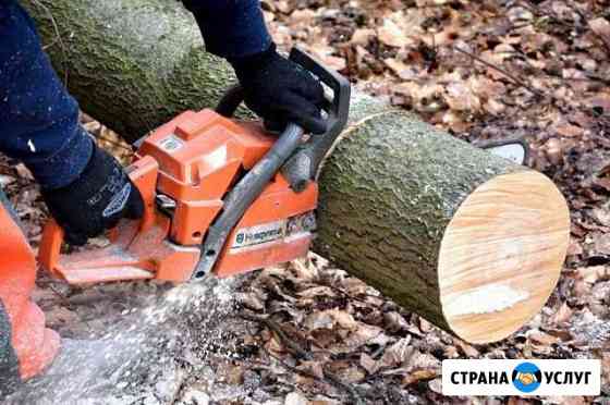 Расчистка участка, спил деревьев Сочи