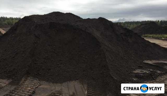 Чернозем, серая земля, грунт, навоз Раменское - изображение 1