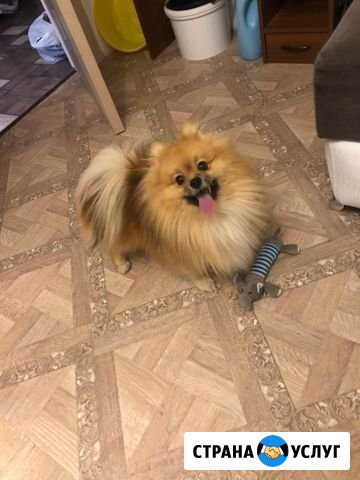 Вязка Иркутск - изображение 1