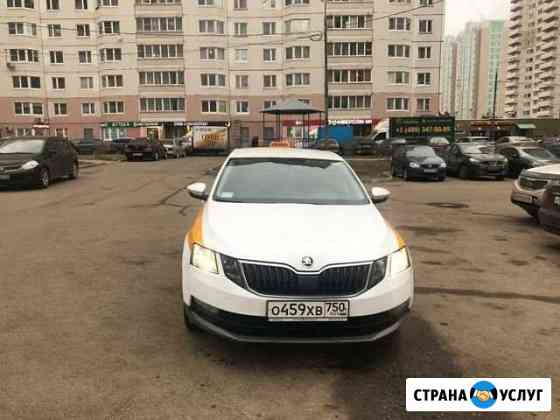 Аренда авто Шкода Октавия Москва