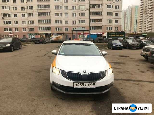 Аренда авто Шкода Октавия Москва - изображение 1