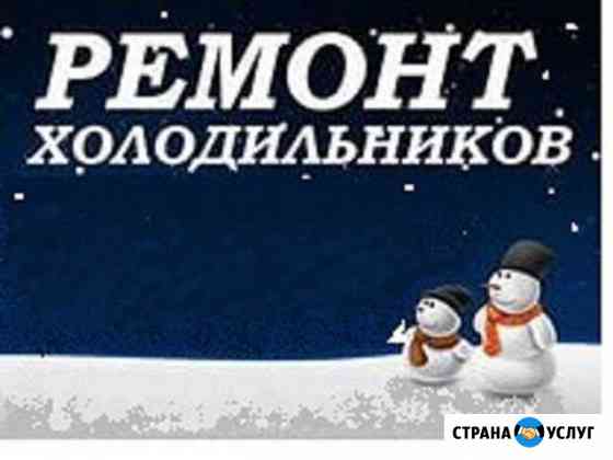 Качественный ремонт холодильников на дому гарантия Рязань