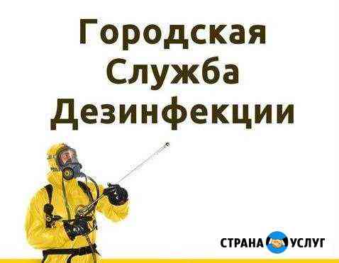 Гарантированно избавим от клопов, тараканов, блох Ростов-на-Дону