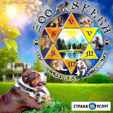 Зоосфера гостиница для собак и кошек Калининград