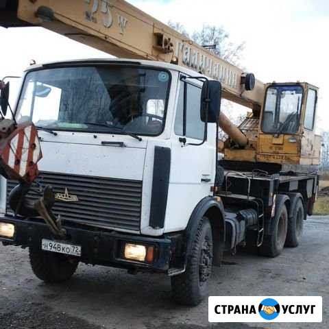Услуги автокрана 25т.21.7м Челябинск - изображение 1