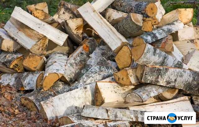 Дрова Всеволожск - изображение 1
