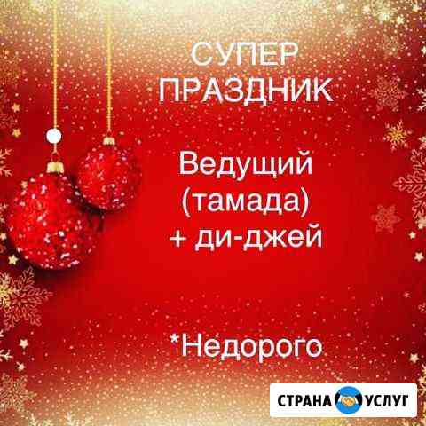 Тамада ведущий свадьба ведущая в Томске Томск