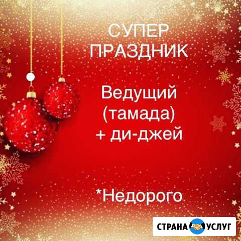 Тамада ведущий свадьба ведущая в Томске Томск - изображение 1