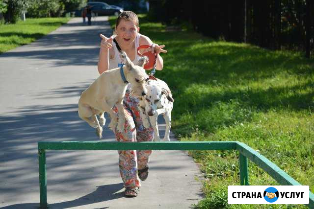 Кинолог-инструктор, зоопсихолог, коррекция Москва - изображение 1