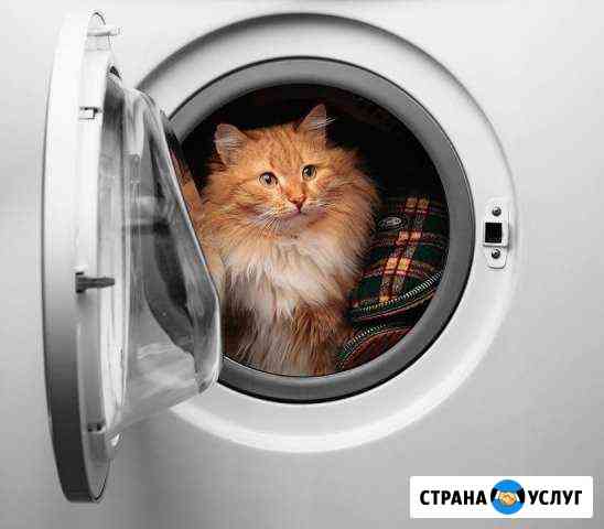 Профессиональный ремонт стиральных машин Пенза