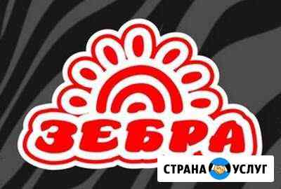 Абонемент Зебра Мытищи